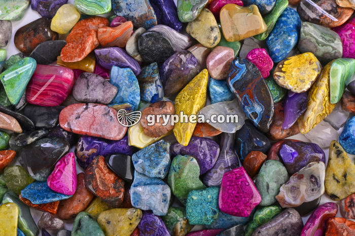 Graviers décoratifs - gryphea.org